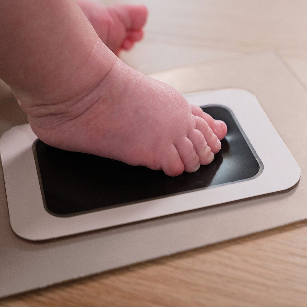 Pêle-Mêle - Petit Artichaut 